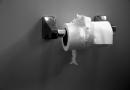 toilet roll