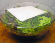 salad