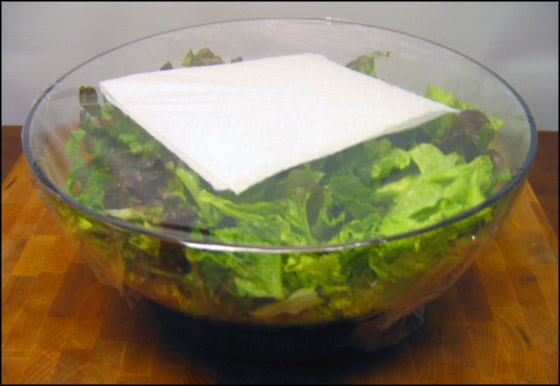 salad