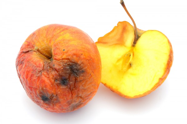 food waste