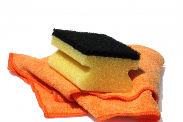 sponge